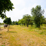 DSC_9251.jpg