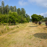 DSC_9259.jpg