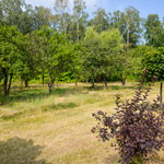 DSC_9263.jpg