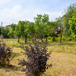 DSC_9264.jpg