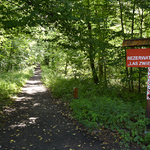 Ścieżka w lesie oznakowana czerwoną tablicą Lasów Państwowych 