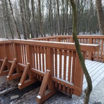 Widok na drewniany mostek nad rowem. Wokoło drzewa bez liści.