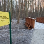 Piaszczysta ścieżka wśród drzew. Widok na drewniany mostek. Przy nim żółta tablica informacyjna.