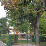 Plac zabaw wśród drzew