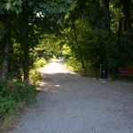 DSC_8597.JPG