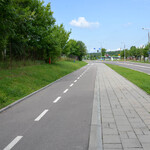 DSC_1617.jpg