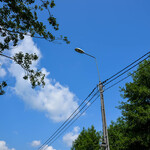 DSC_1646.jpg
