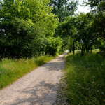 DSC_1543.jpg