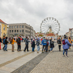 DSC_4548.jpg