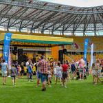 Ilustracja do artykułu 180617 Piknik pożegnanie z murawą-3.jpg