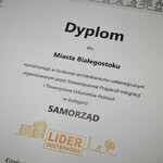 Ilustracja do artykułu 180622 Lider dostepności 1.jpg